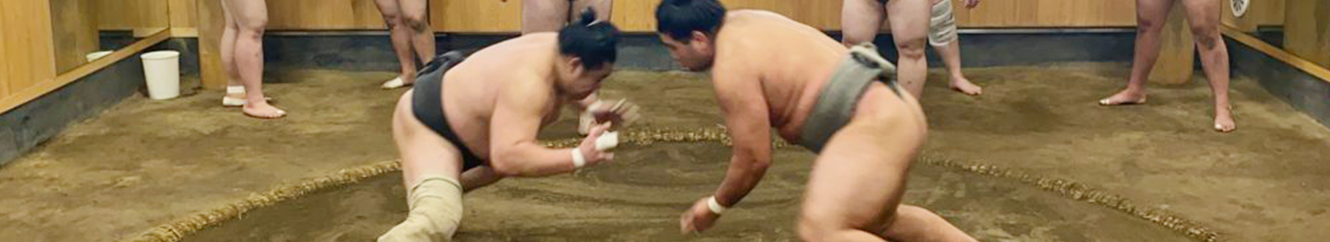 力士紹介 メインビジュアル