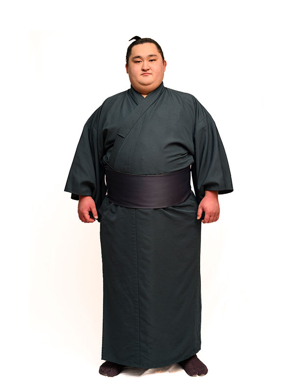 颯雅